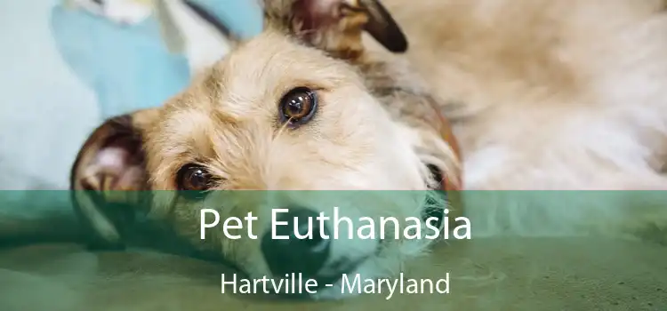 Pet Euthanasia Hartville - Maryland