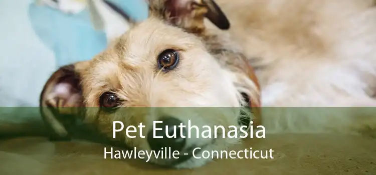 Pet Euthanasia Hawleyville - Connecticut