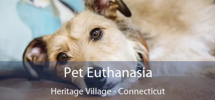 Pet Euthanasia Heritage Village - Connecticut
