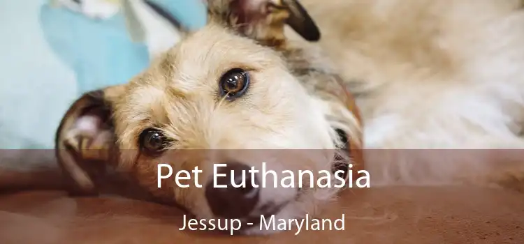 Pet Euthanasia Jessup - Maryland