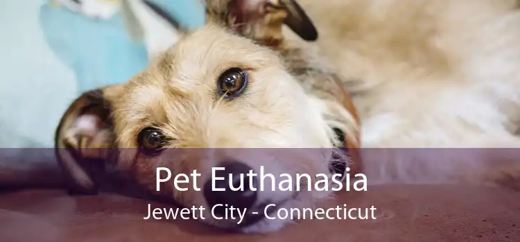 Pet Euthanasia Jewett City - Connecticut