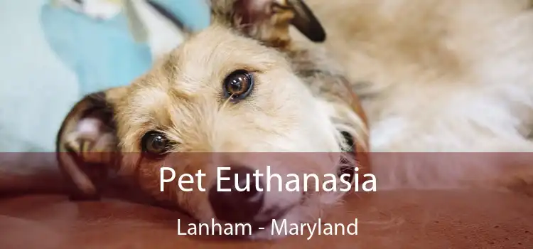 Pet Euthanasia Lanham - Maryland