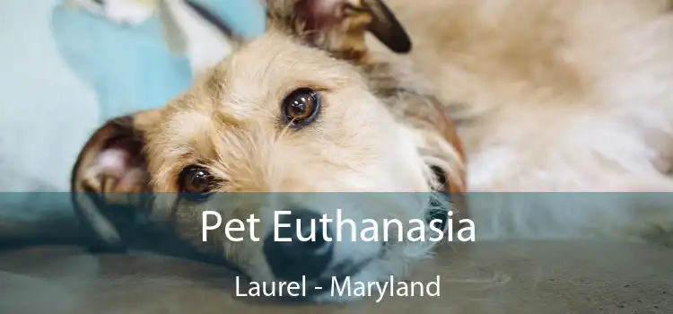 Pet Euthanasia Laurel - Maryland
