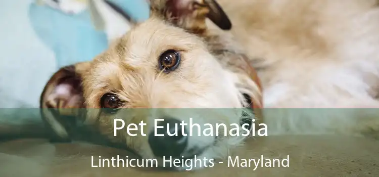 Pet Euthanasia Linthicum Heights - Maryland