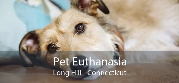 Pet Euthanasia Long Hill - Connecticut