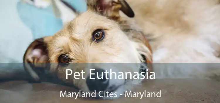 Pet Euthanasia Maryland Cites - Maryland