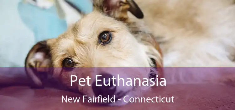 Pet Euthanasia New Fairfield - Connecticut
