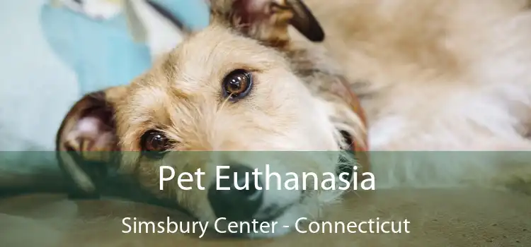 Pet Euthanasia Simsbury Center - Connecticut