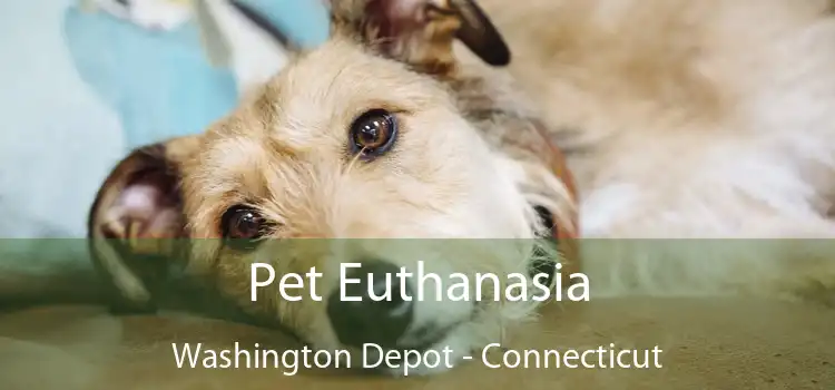 Pet Euthanasia Washington Depot - Connecticut