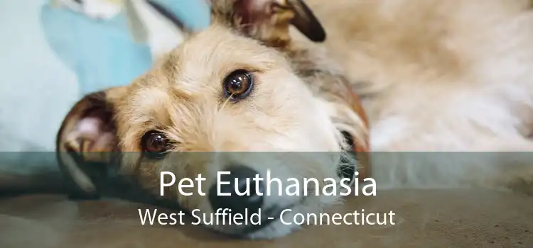 Pet Euthanasia West Suffield - Connecticut