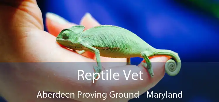 Reptile Vet Aberdeen Proving Ground - Maryland