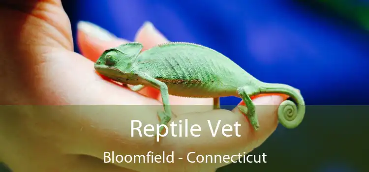 Reptile Vet Bloomfield - Connecticut