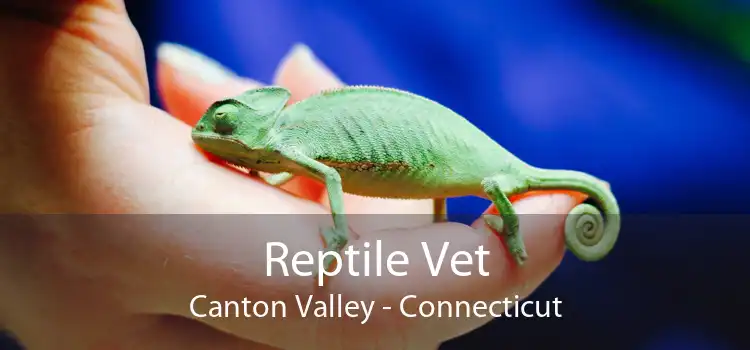 Reptile Vet Canton Valley - Connecticut