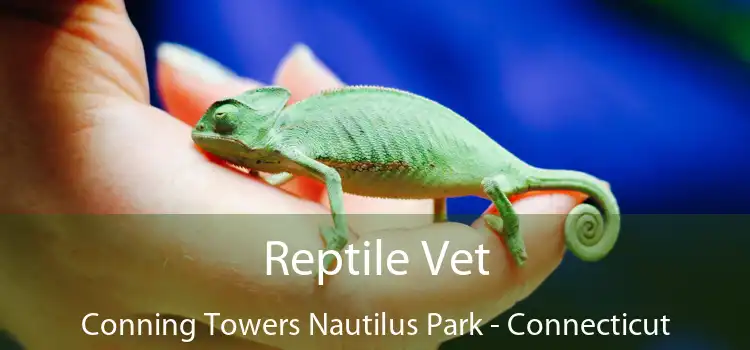 Reptile Vet Conning Towers Nautilus Park - Connecticut
