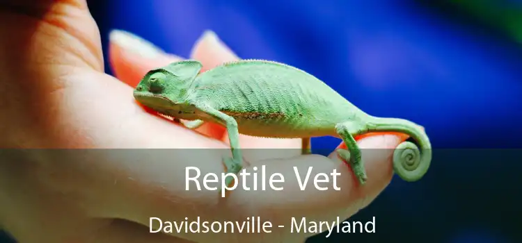 Reptile Vet Davidsonville - Maryland