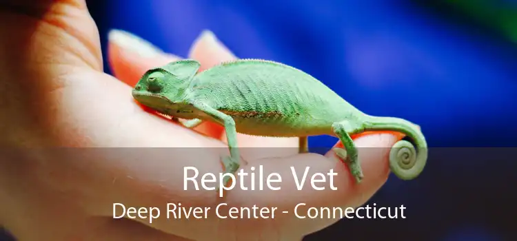 Reptile Vet Deep River Center - Connecticut