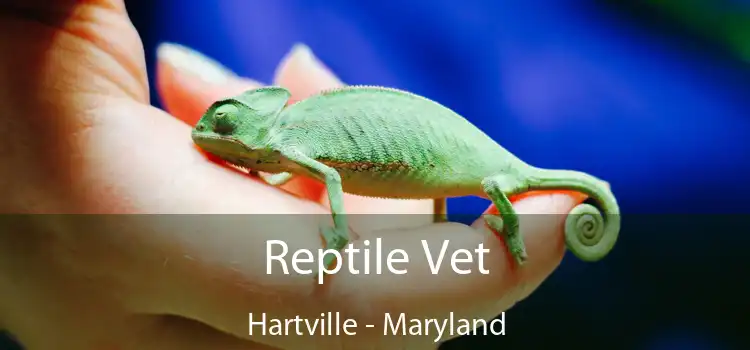 Reptile Vet Hartville - Maryland