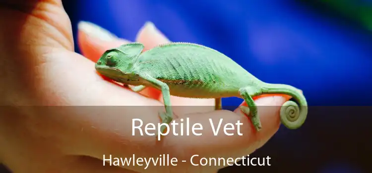 Reptile Vet Hawleyville - Connecticut