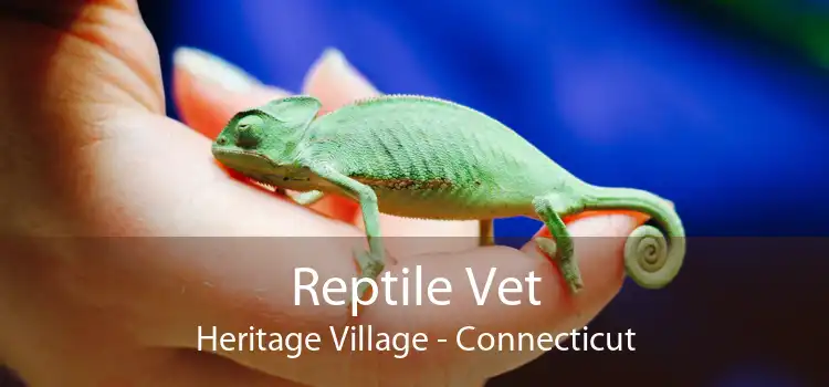 Reptile Vet Heritage Village - Connecticut