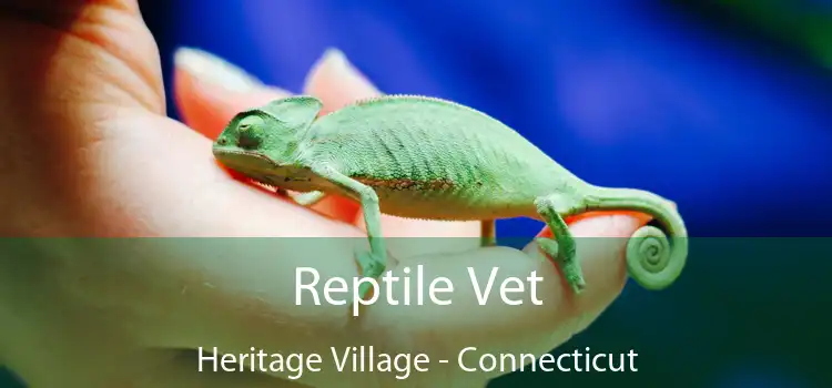 Reptile Vet Heritage Village - Connecticut