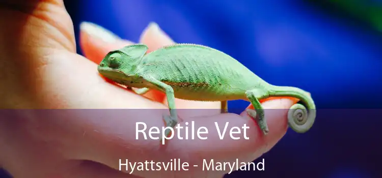 Reptile Vet Hyattsville - Maryland
