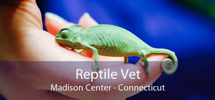 Reptile Vet Madison Center - Connecticut