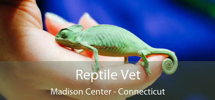 Reptile Vet Madison Center - Connecticut