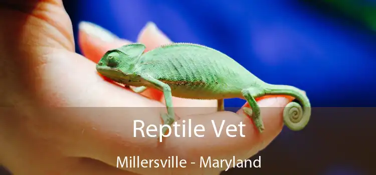 Reptile Vet Millersville - Maryland