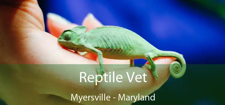 Reptile Vet Myersville - Maryland