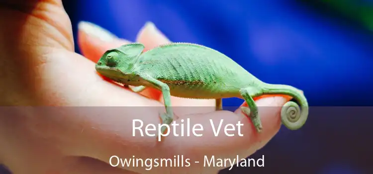 Reptile Vet Owingsmills - Maryland