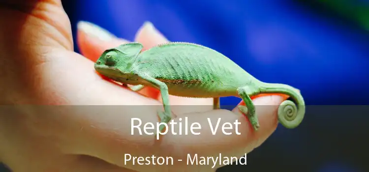 Reptile Vet Preston - Maryland