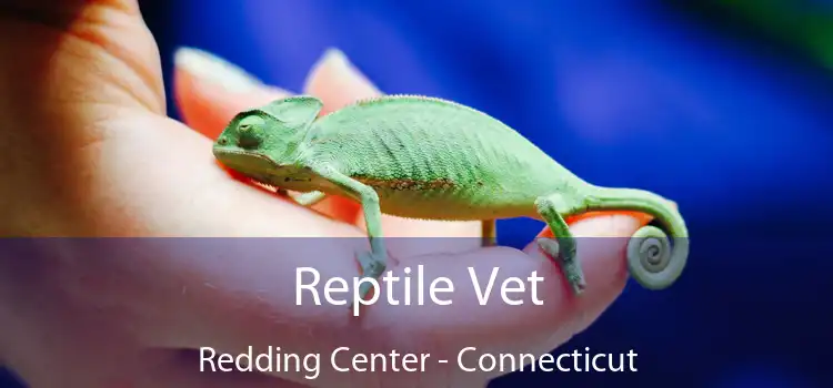 Reptile Vet Redding Center - Connecticut