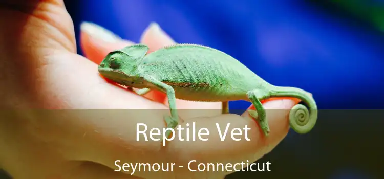 Reptile Vet Seymour - Connecticut