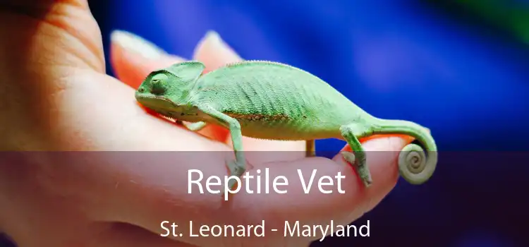 Reptile Vet St. Leonard - Maryland