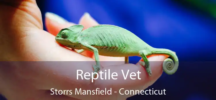 Reptile Vet Storrs Mansfield - Connecticut