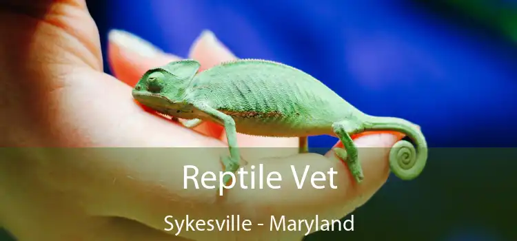 Reptile Vet Sykesville - Maryland