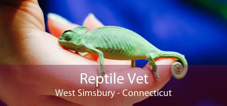 Reptile Vet West Simsbury - Connecticut