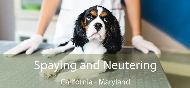 Spaying and Neutering California - Maryland