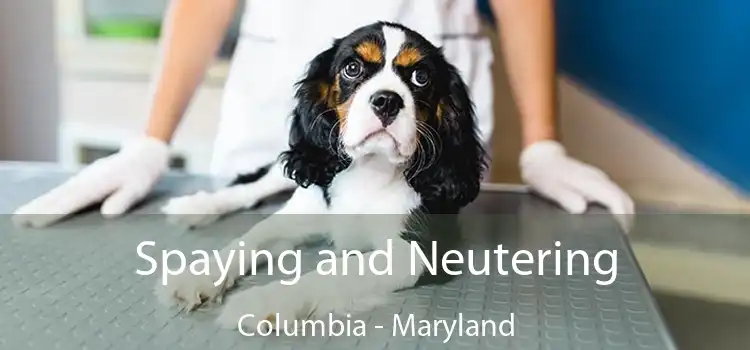 Spaying and Neutering Columbia - Maryland