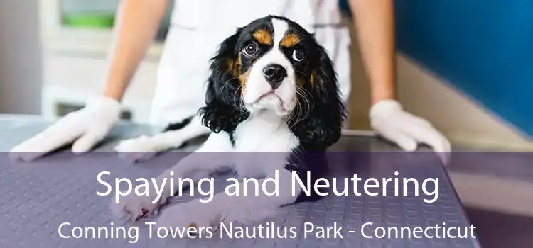 Spaying and Neutering Conning Towers Nautilus Park - Connecticut