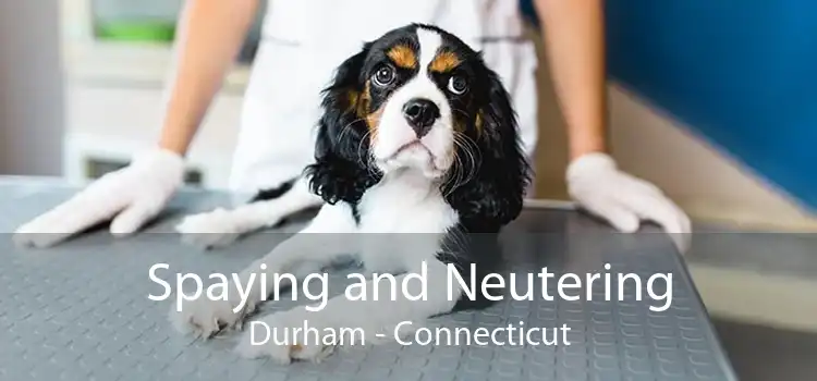 Spaying and Neutering Durham - Connecticut