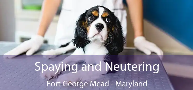 Spaying and Neutering Fort George Mead - Maryland