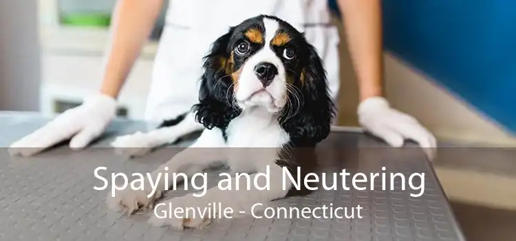 Spaying and Neutering Glenville - Connecticut