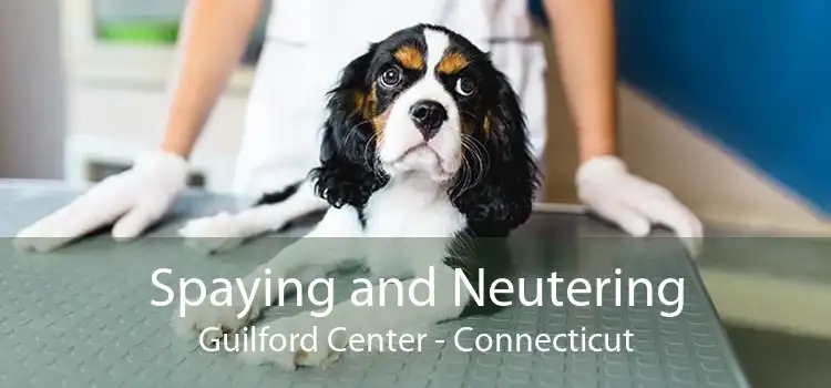 Spaying and Neutering Guilford Center - Connecticut