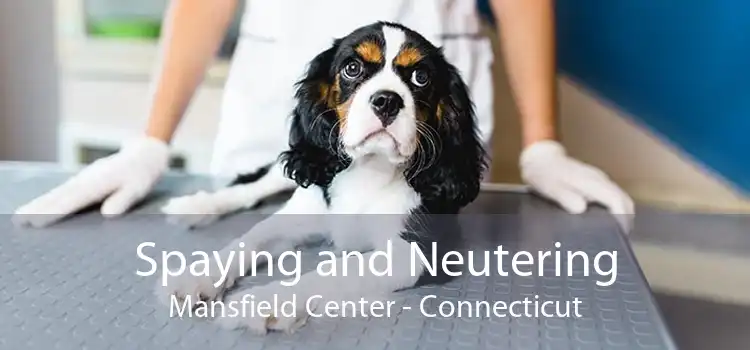 Spaying and Neutering Mansfield Center - Connecticut