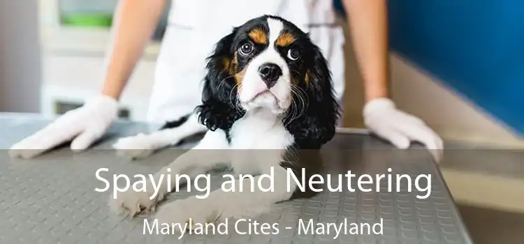 Spaying and Neutering Maryland Cites - Maryland