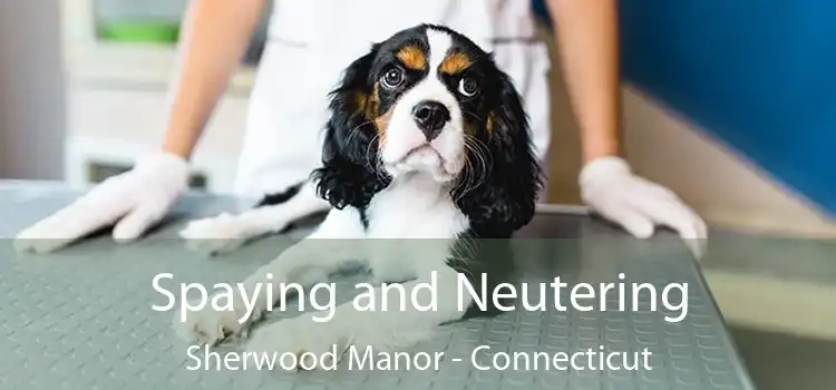 Spaying and Neutering Sherwood Manor - Connecticut