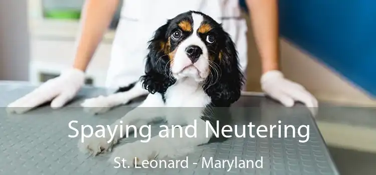 Spaying and Neutering St. Leonard - Maryland