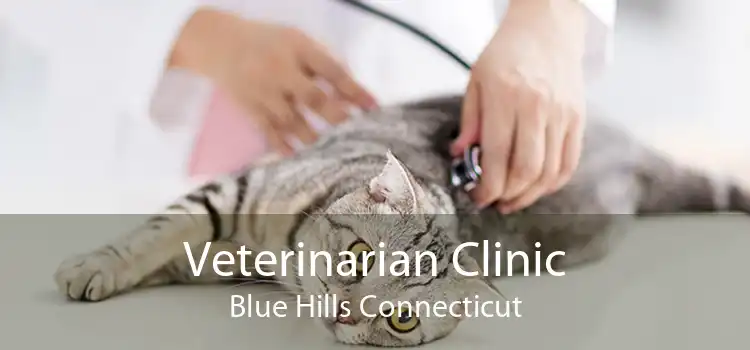Veterinarian Clinic Blue Hills Connecticut
