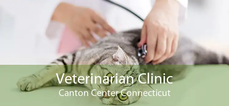 Veterinarian Clinic Canton Center Connecticut